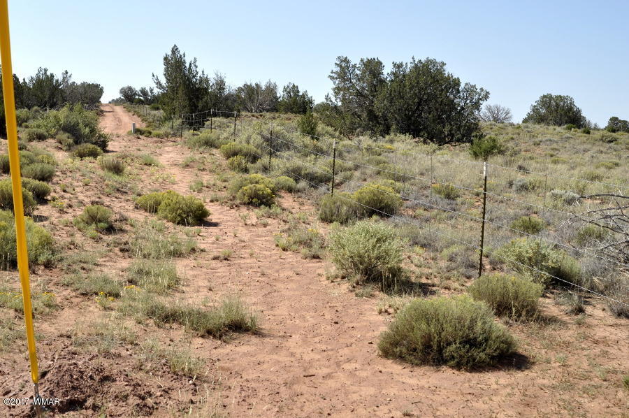 441 Woodridge Ranch Concho, AZ 85924 - Photo 5 of 11