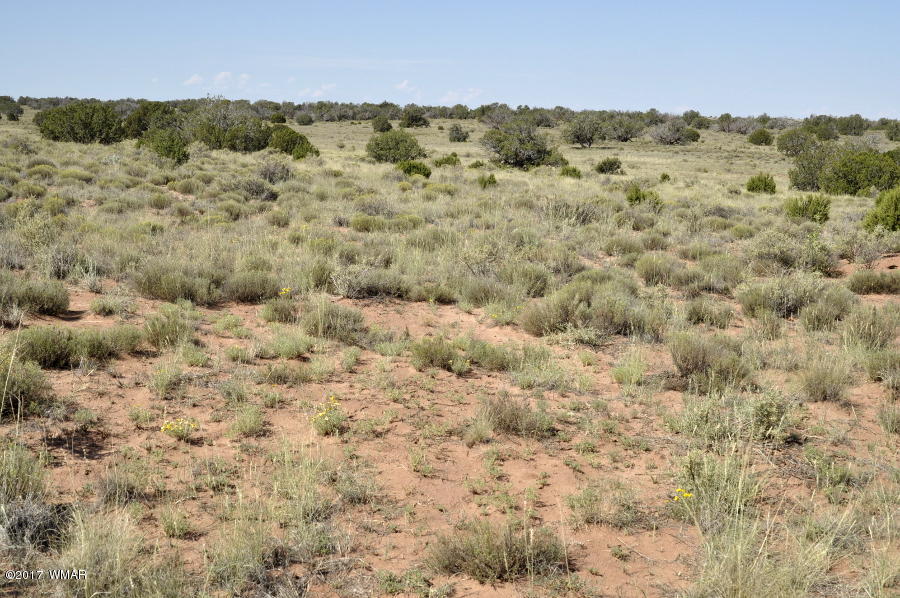 441 Woodridge Ranch Concho, AZ 85924 - Photo 7 of 11