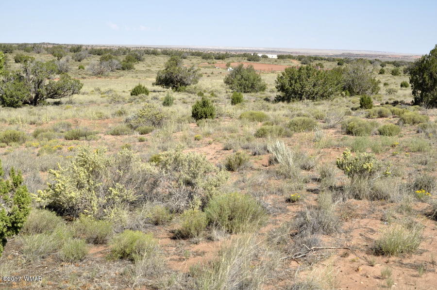 441 Woodridge Ranch Concho, AZ 85924 - Photo 8 of 11