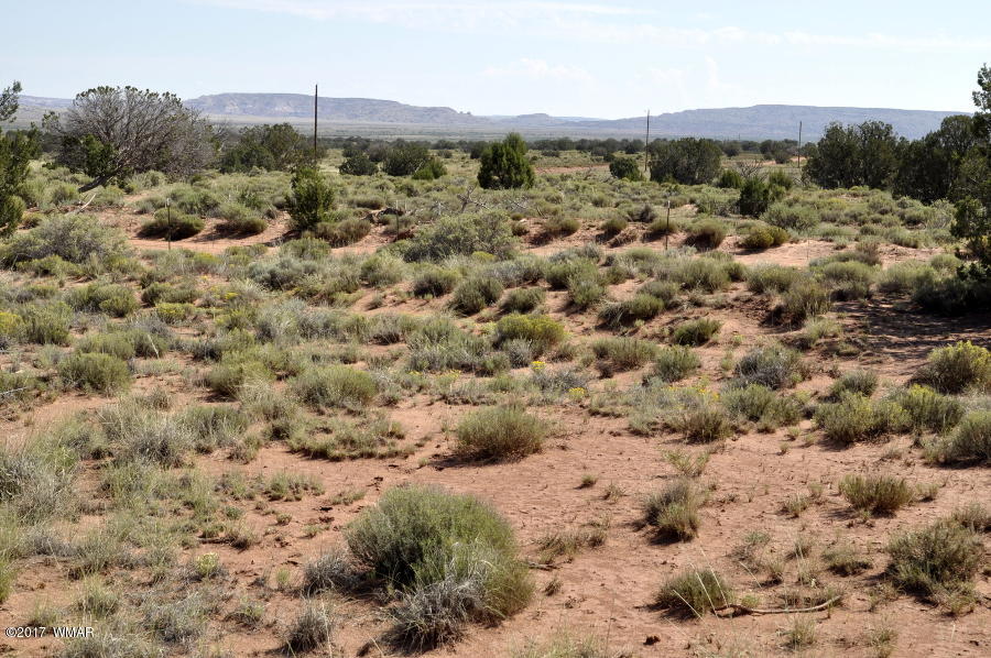 441 Woodridge Ranch Concho, AZ 85924 - Photo 10 of 11