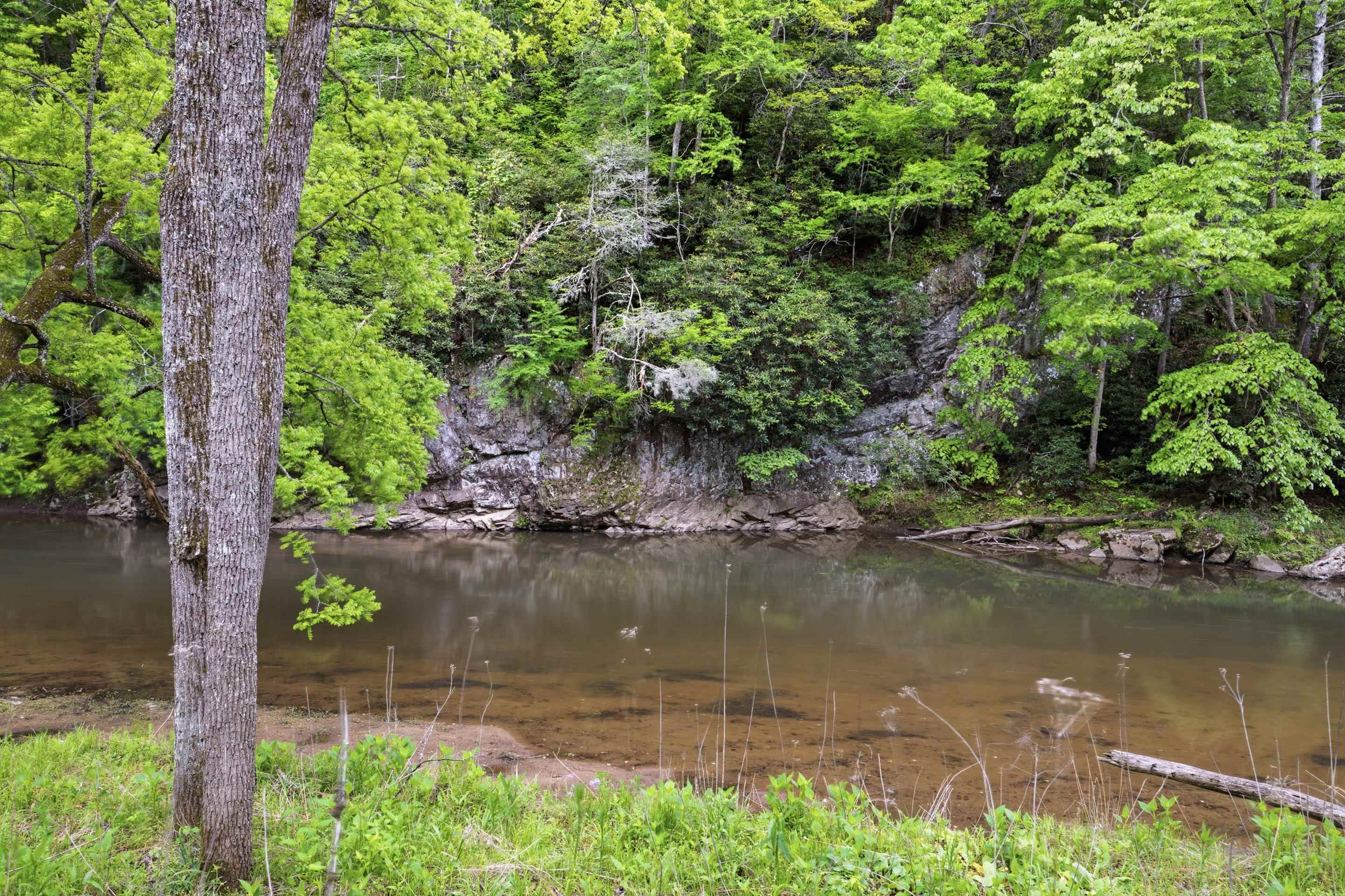 Tbd Chestnut Ridge Road Riner, VA 24149 - Photo 48 of 58 Gallery Image 48