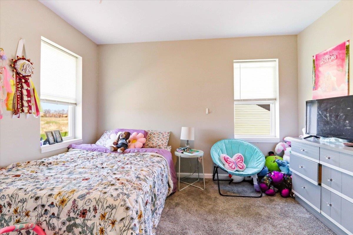 1421 21st Street Baraboo, WI 53913 - Photo 31 of 84
