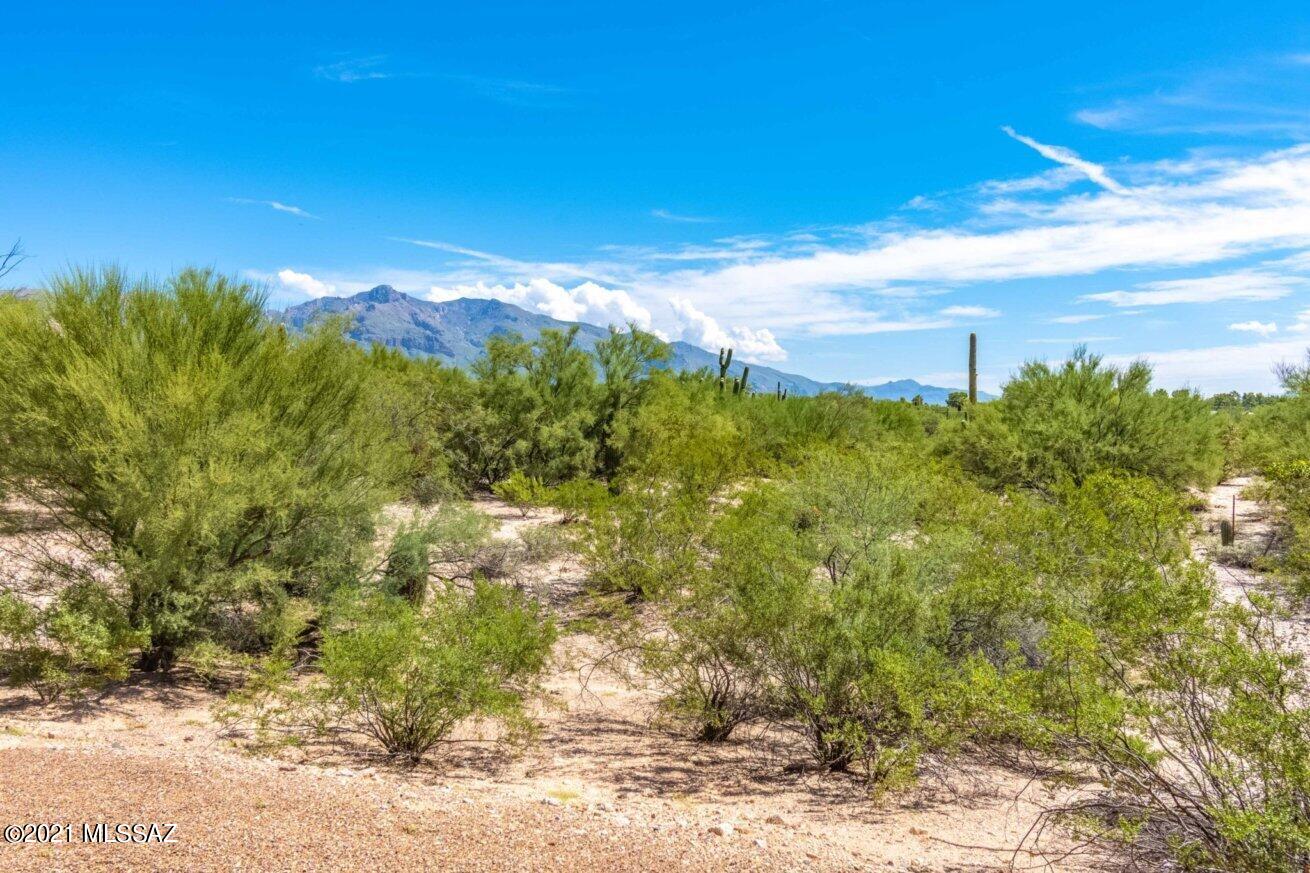 1065 West Panorama Road Tucson, AZ 85704 - Photo 36 of 38 Gallery Image 36