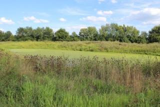 4241 Haley Road Lexington, KY 40516 - Photo 17 of 18 Photo 17