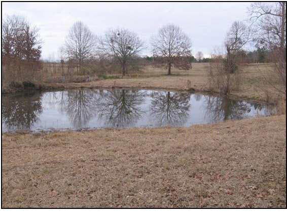 291 Waldrop Road Flora, MS 39071 - Photo 1 of 10 Photo 1