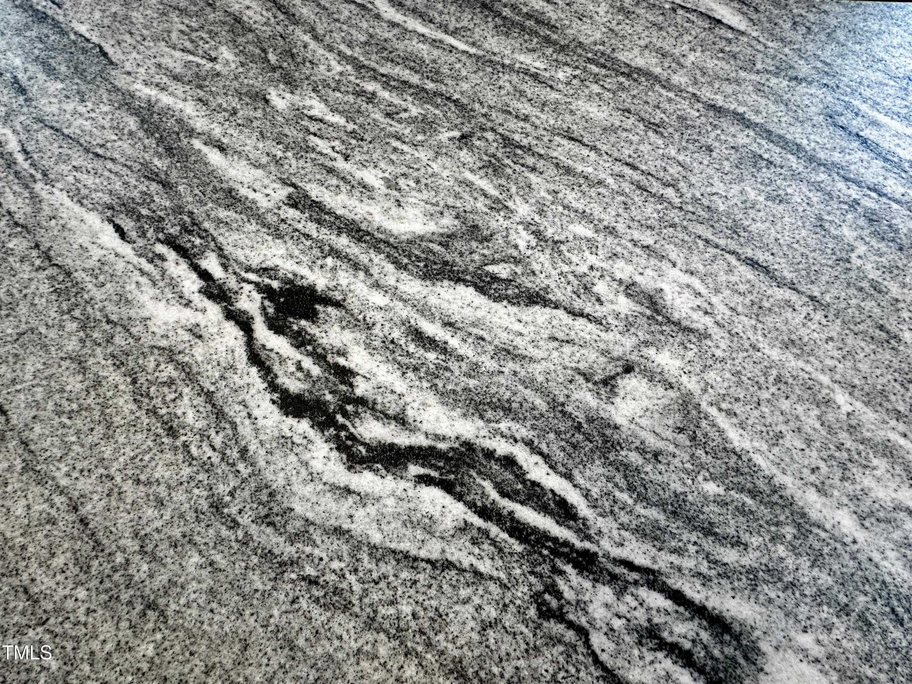 1705 Main Divide Drive Wake Forest, NC 27587 - Photo 8 of 47 a view of a yard