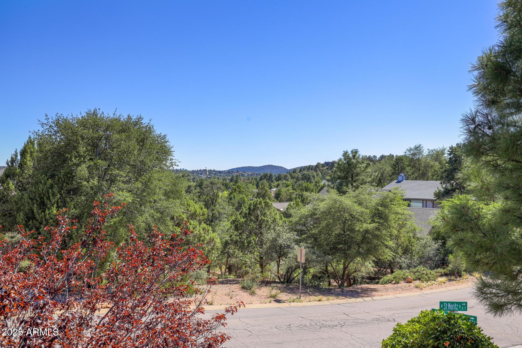 1101 North Monte Rosa Lane Payson, AZ 85541 - Photo 7 of 35 a view of a yard with a tree