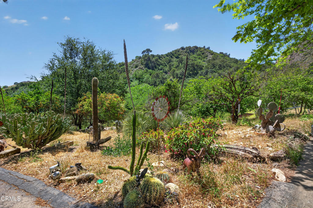 8416 Wheeler Canyon Road Santa Paula, CA 93060 - Photo 44 of 48 a view of a forest with trees in front of it