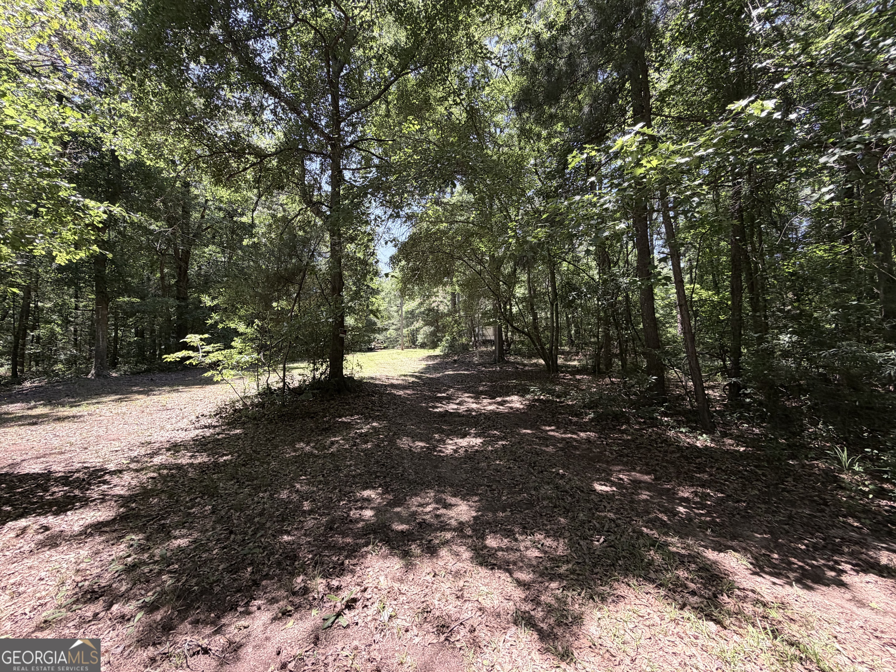 256 West Kellogg Drive Colbert, GA 30628 - Photo 3 of 11
