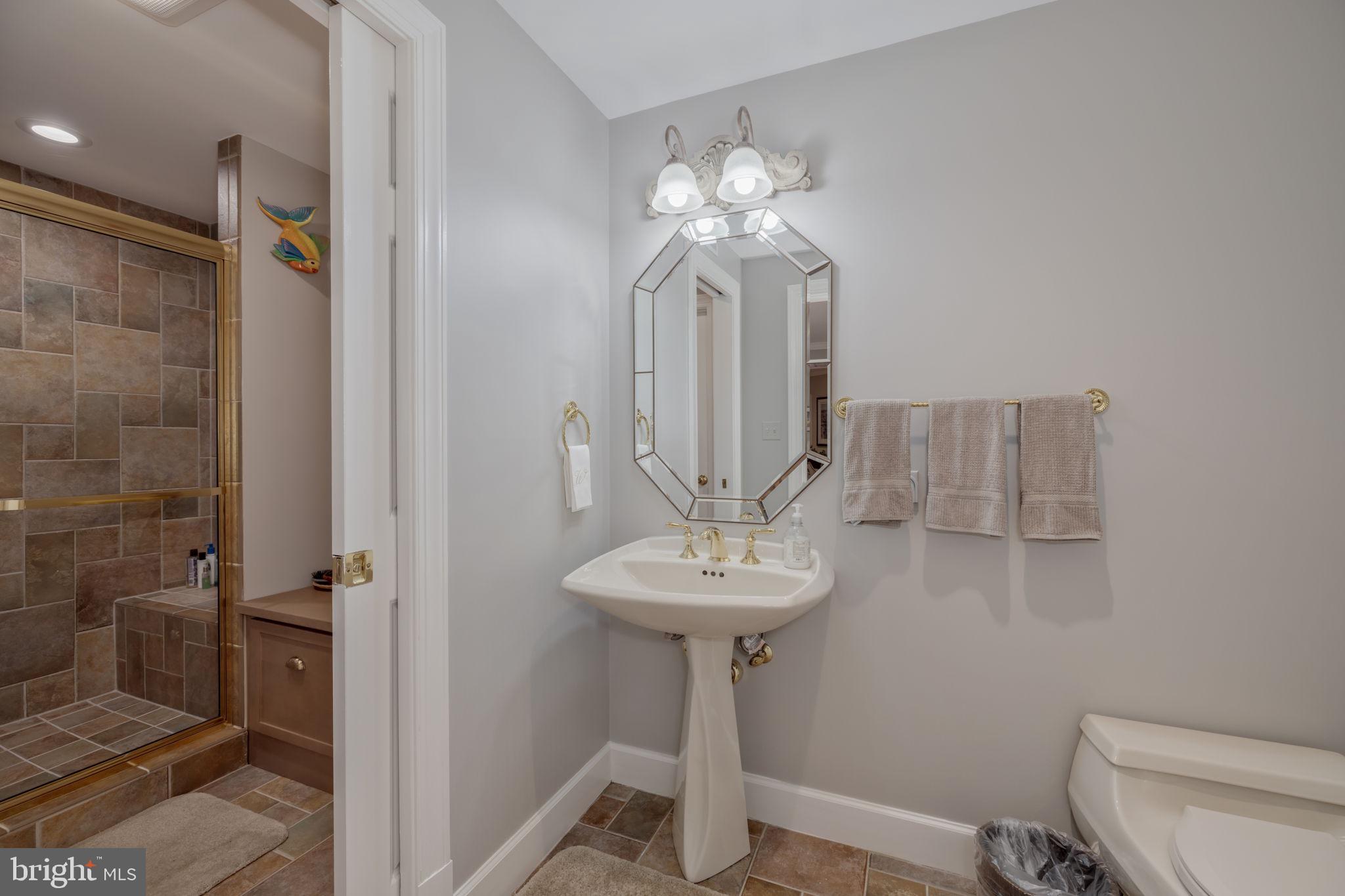 10011 Gary Road Potomac, MD 20854 - Photo 56 of 74 Pool Bath #6