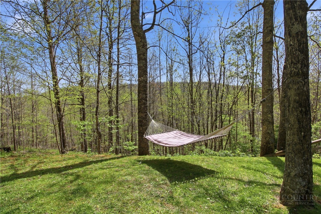 173 Goat Hill Road Todd, NC 28684 - Photo 12 of 45