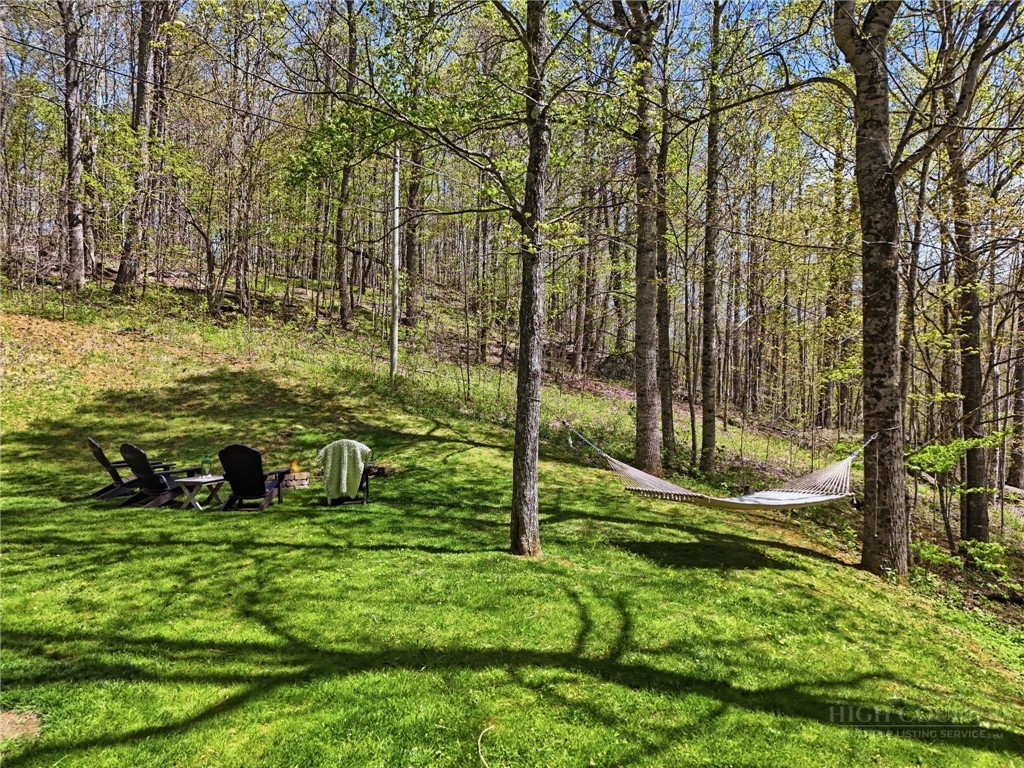 173 Goat Hill Road Todd, NC 28684 - Photo 13 of 45