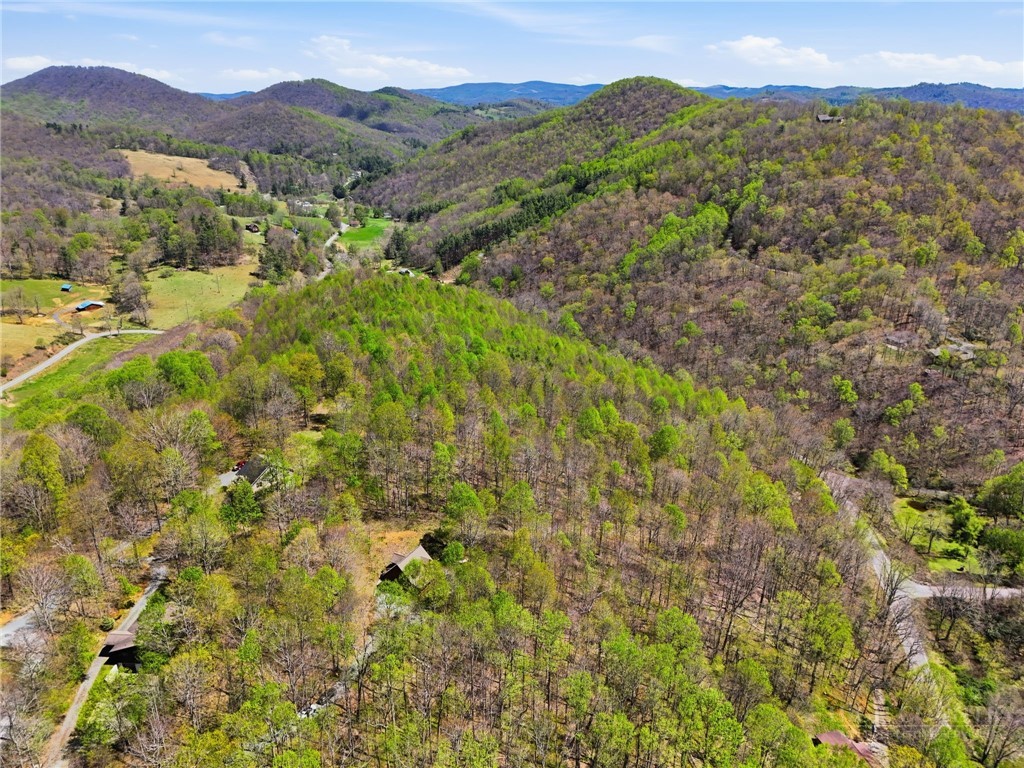 173 Goat Hill Road Todd, NC 28684 - Photo 18 of 45