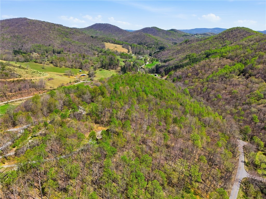 173 Goat Hill Road Todd, NC 28684 - Photo 19 of 45