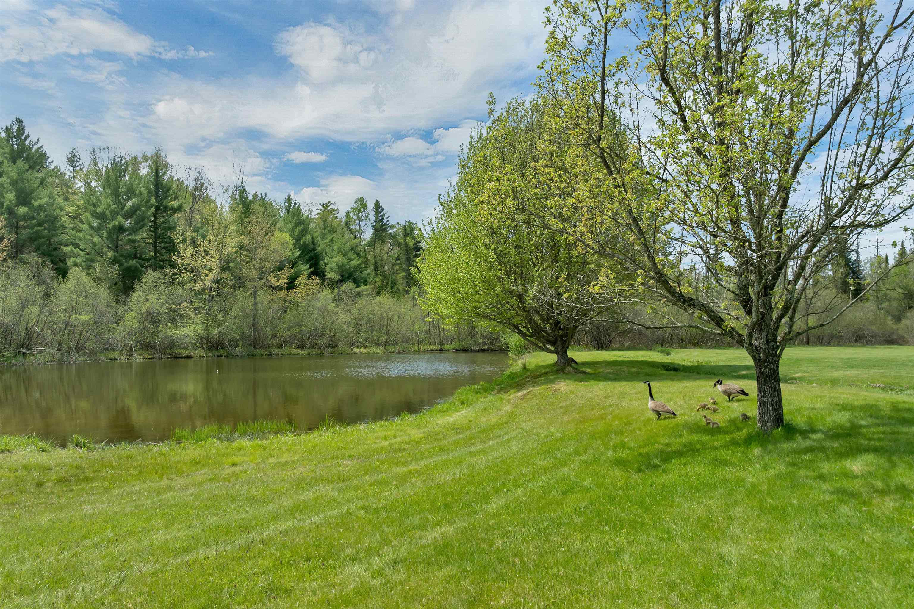 145 Turnpike Road Northfield, NH 03276 - Photo 18 of 58