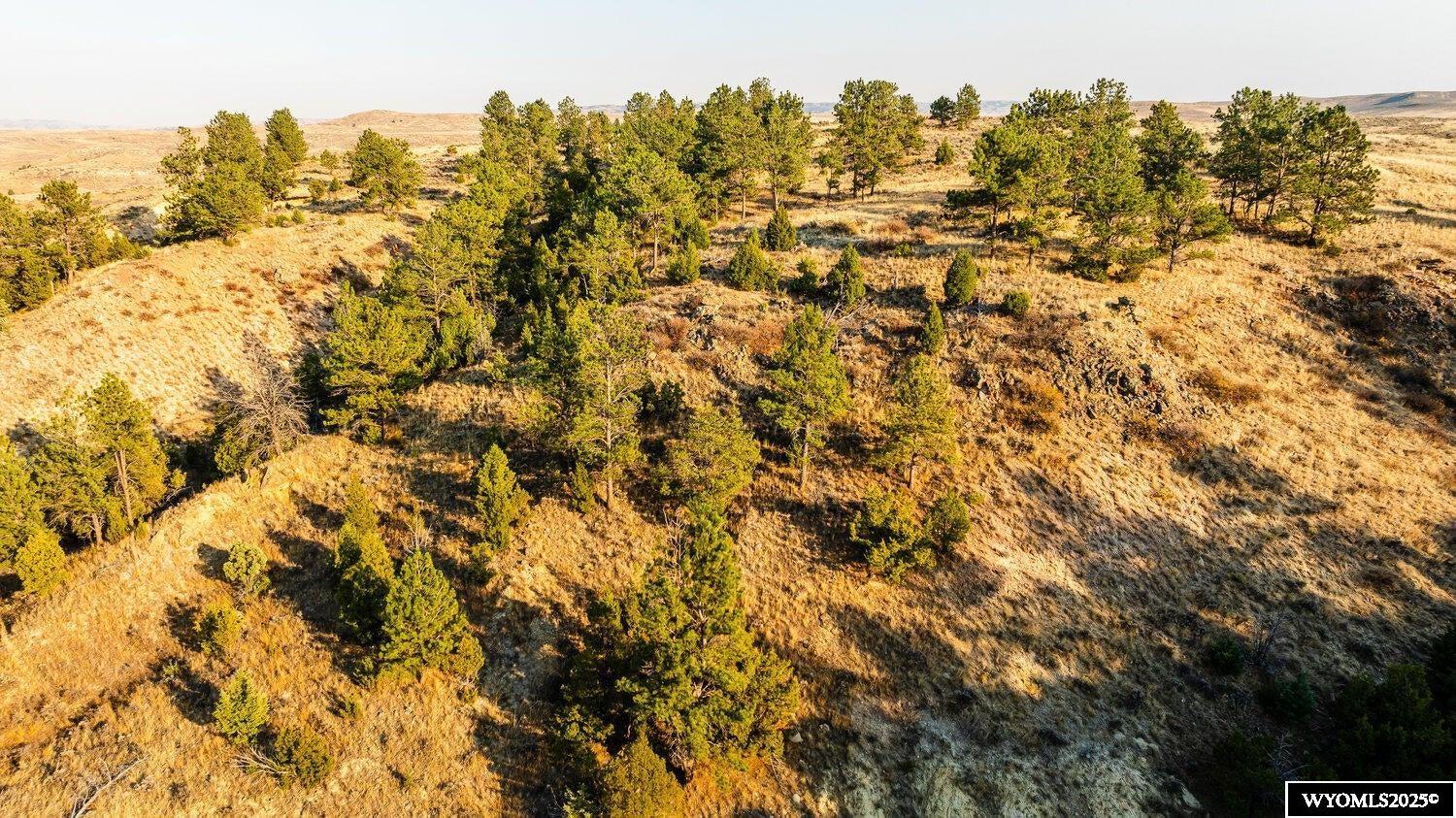 827 Decker Road Sheridan, WY 82801 - Photo 12 of 16