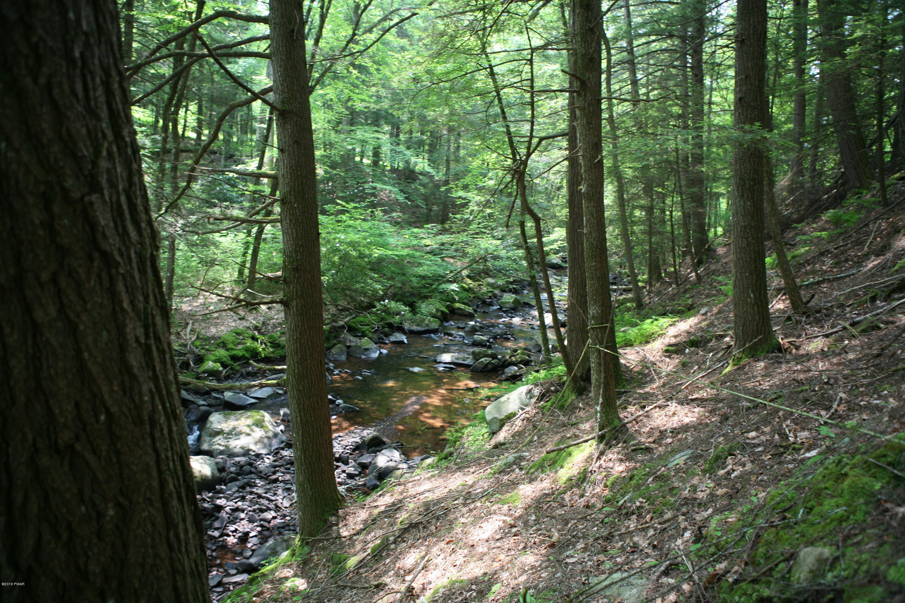 184 Paint Mine Road Damascus, PA 18415 - Photo 13 of 15