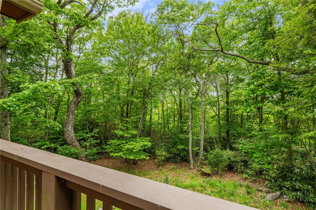 405 Snowridge Road Banner Elk, NC 28604 - Photo 30 of 50