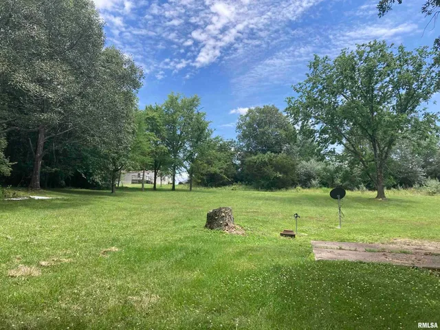 a view of outdoor space with green field and trees