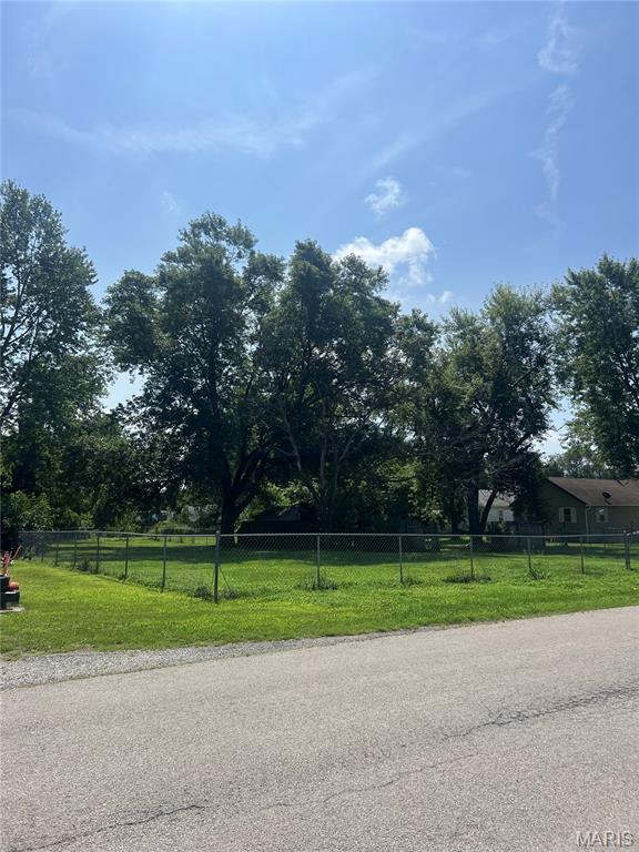 Tbd North Adams Street Litchfield, IL 62056 - Photo 2 of 6