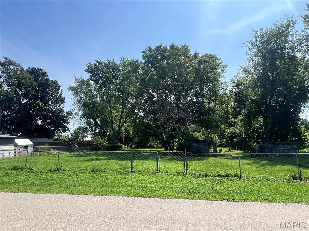 Tbd North Adams Street Litchfield, IL 62056 - Photo 5 of 6