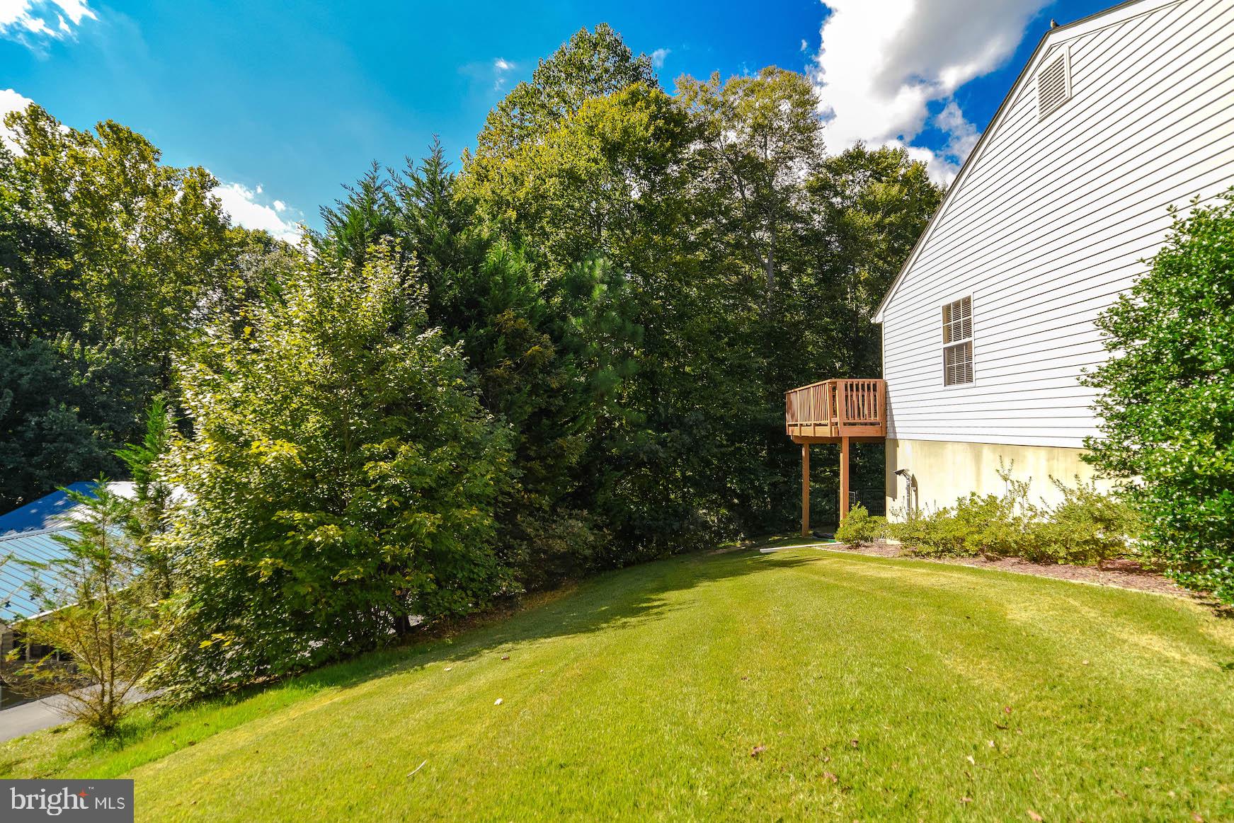 25855 Ricky Drive Hollywood, MD 20636 - Photo 36 of 49 Private yard goes deep into the woods behind
