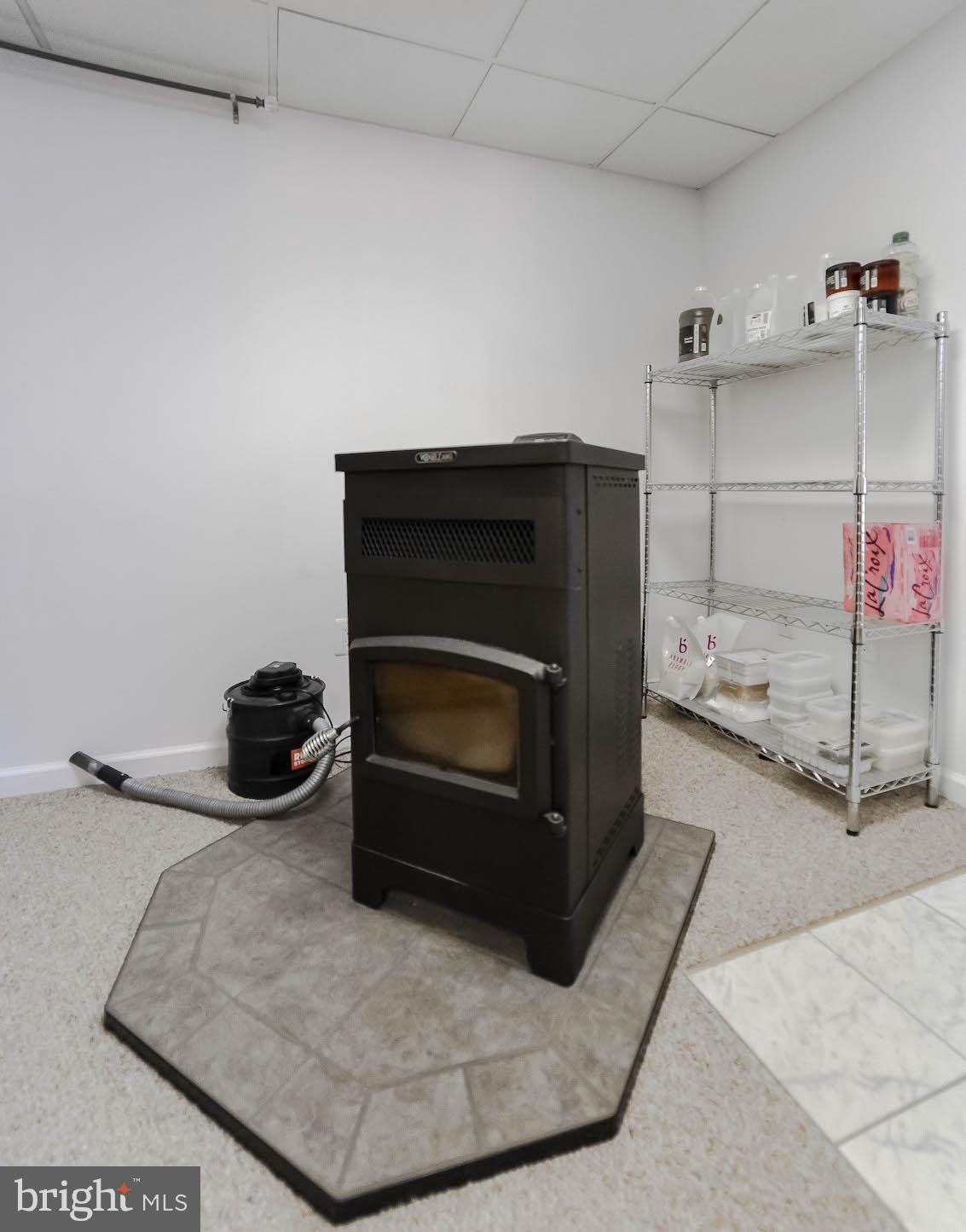 25855 Ricky Drive Hollywood, MD 20636 - Photo 38 of 49 w/ pellet stove