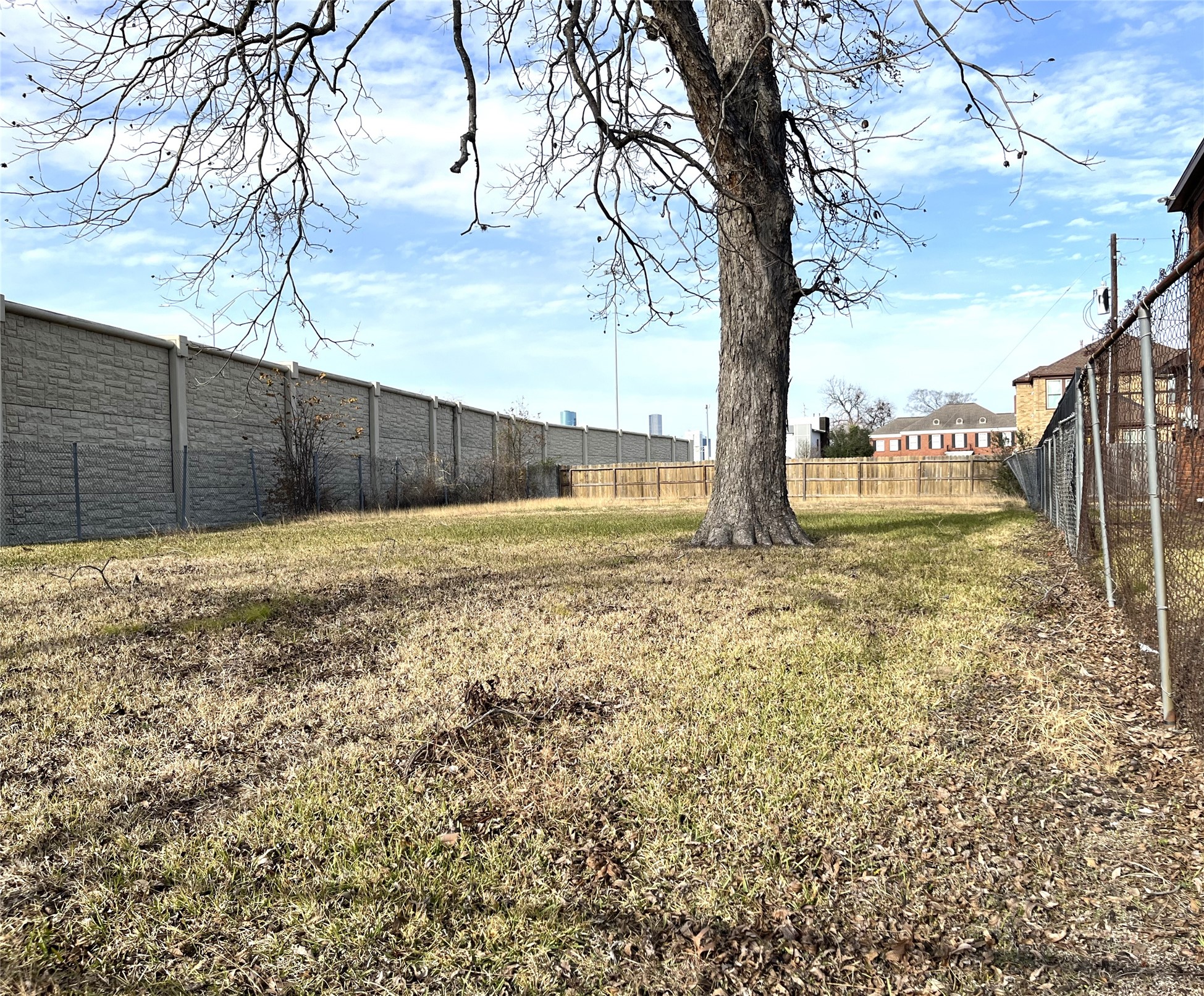 2209 Wichita Street Houston, TX 77004 - Photo 9 of 11 a view of backyard with tree