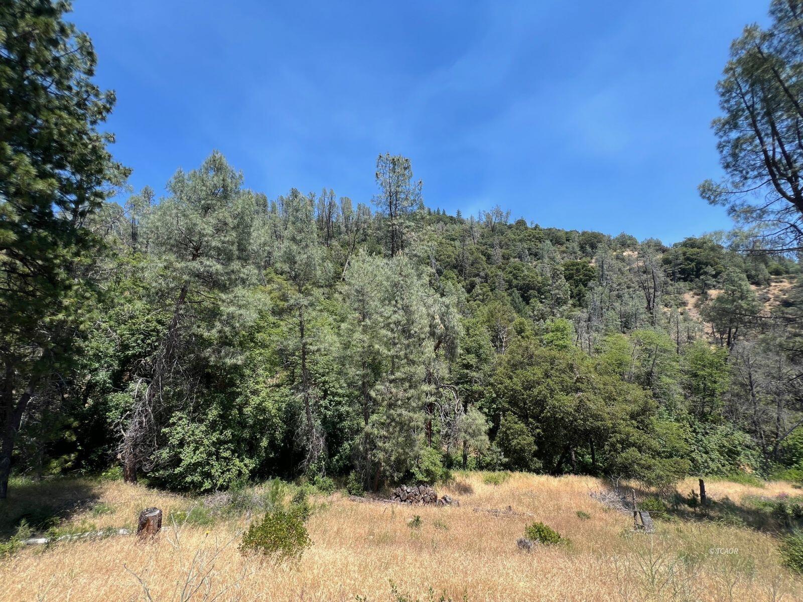 3495 Harrison Gulch Road Platina, CA 96076 - Photo 23 of 23