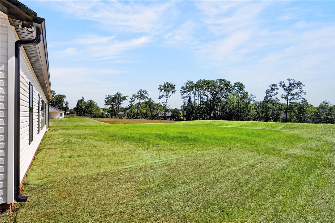 414 Blume Road Anderson, SC 29625 - Photo 45 of 50 An expansive green lawn stretches out from the side of the vinyl-sided home.