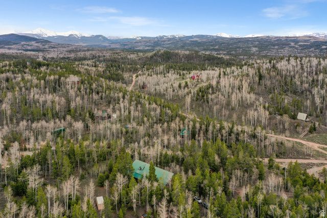 4725 Pine Ridge Road Evanston, UT 82930 - Photo 72 of 82 Expansive wooded acreage featuring mixed evergreen and deciduous trees, with a distant snow-capped mountain range providing a scenic backdrop