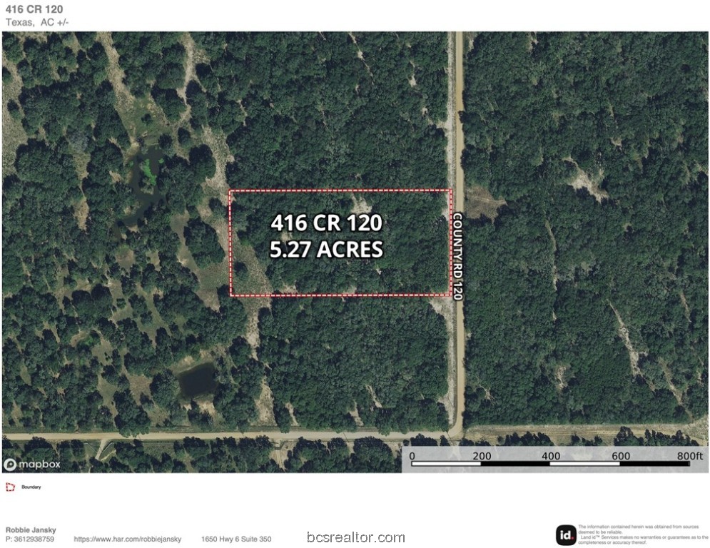 416 County Road Hallettsville, TX 77964 - Photo 3 of 25 a black and white photo of a lots of trees
