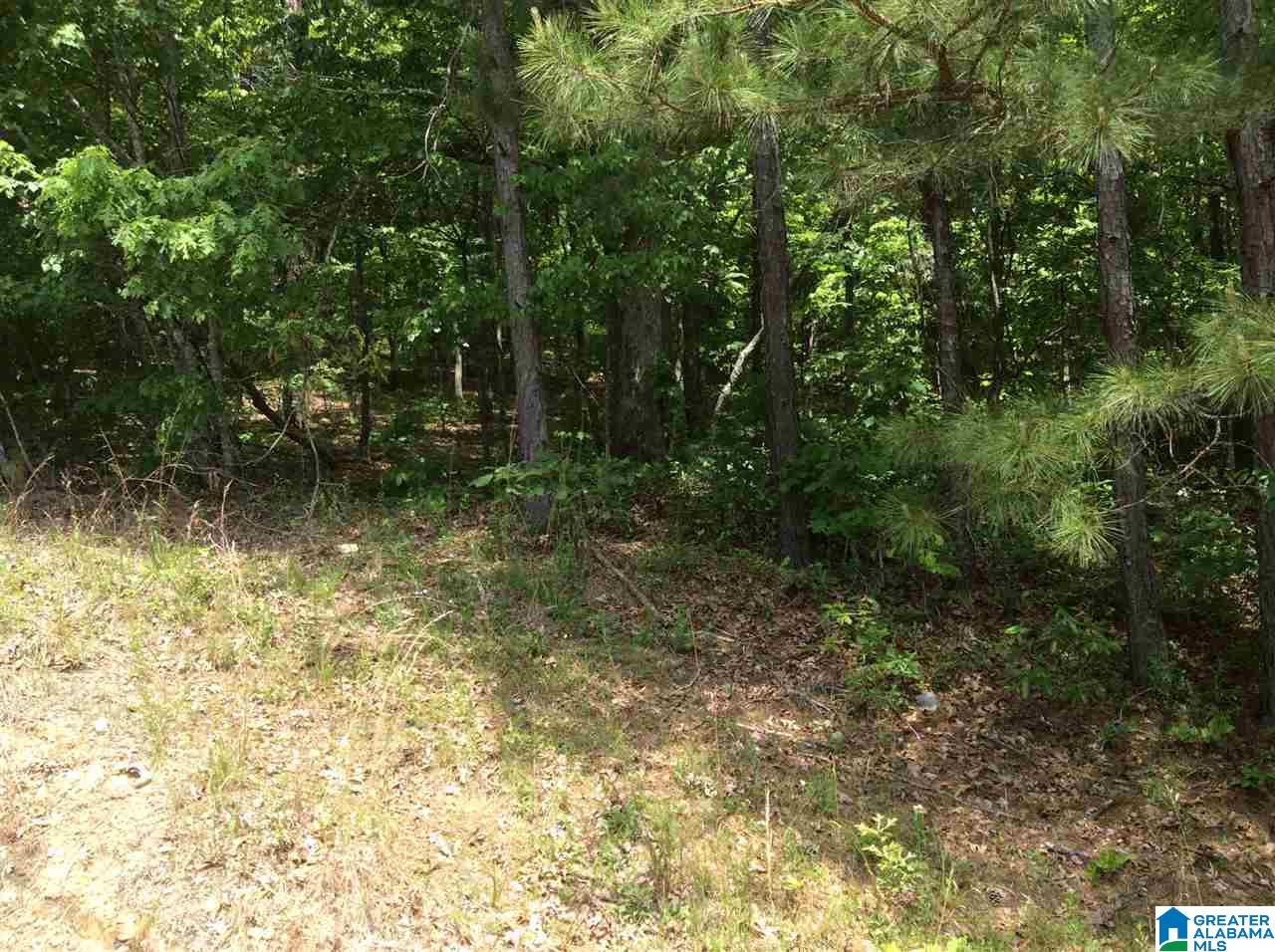 Hoyt Hill Road, Unit 1 Ashville, AL 35953 - Photo 1 of 13