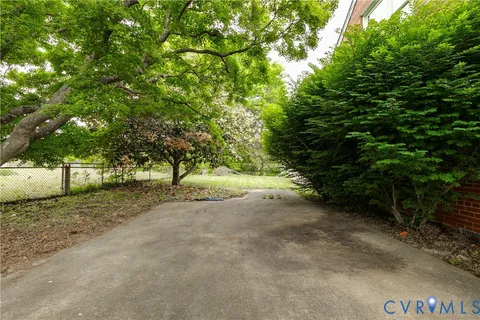 a view of a tree in the middle of a yard
