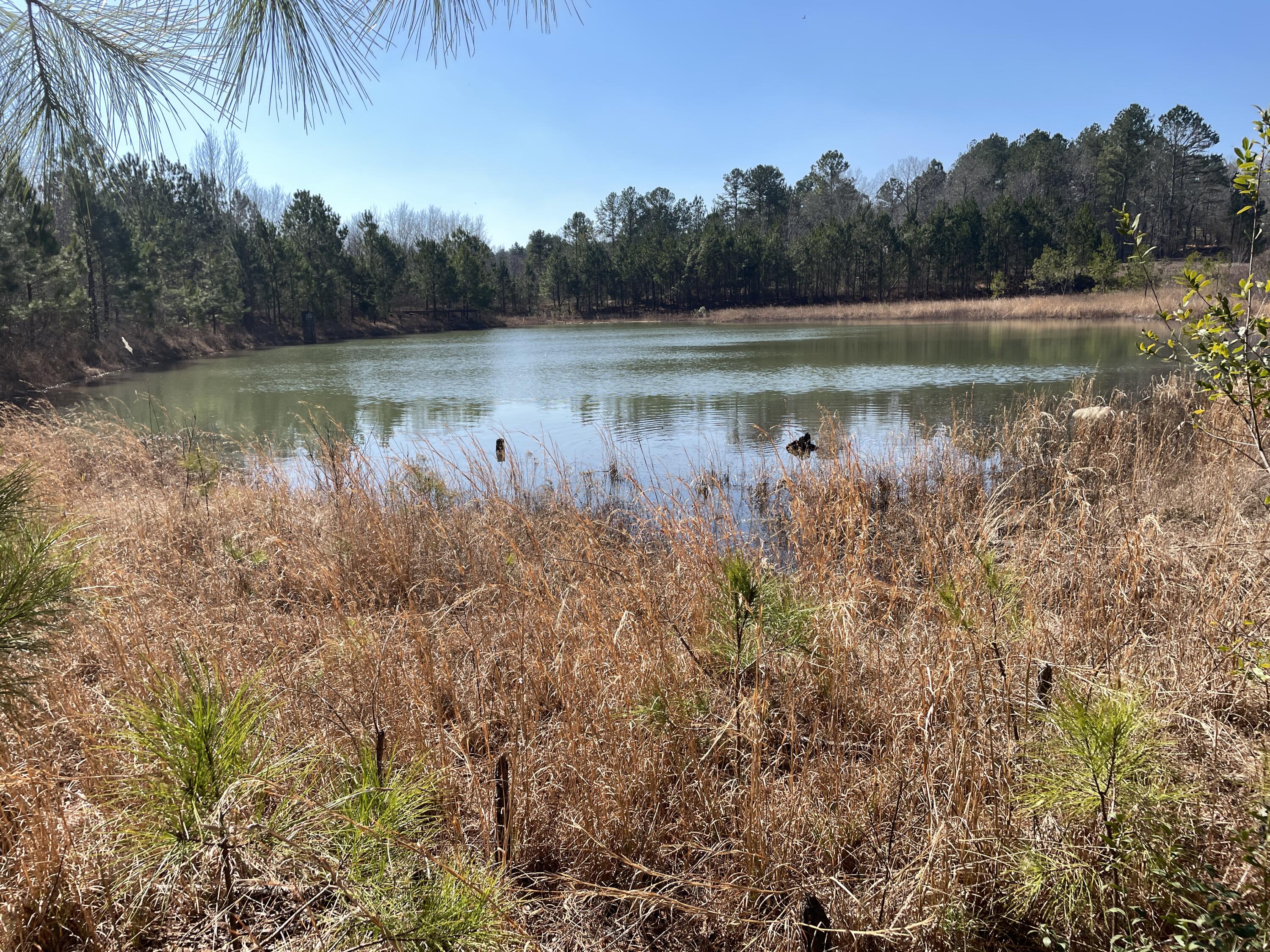 173 Wilderness Road Aiken, SC 29805 - Photo 50 of 50