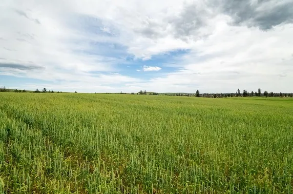 $190,000 | Nka Nka Lambridge Lane Lane, Medical Lake, WA 99022