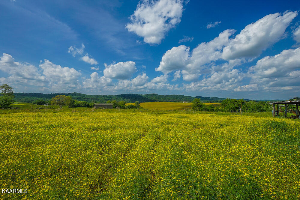 301 Alfred McCammon Road Maryville, TN 37804 - Photo 15 of 57 DSC09863