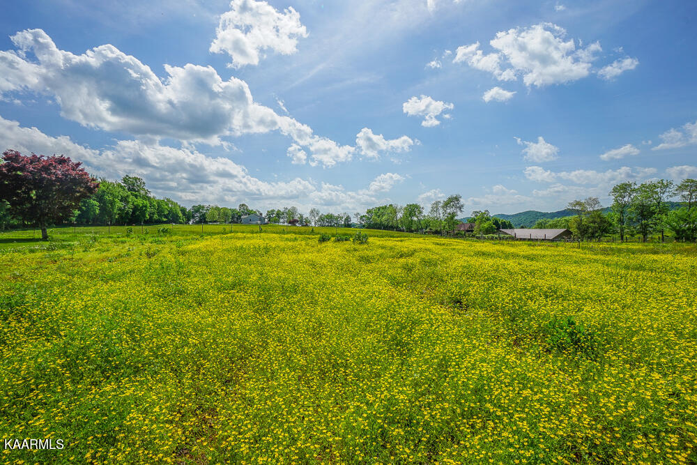 301 Alfred McCammon Road Maryville, TN 37804 - Photo 16 of 57 DSC09865