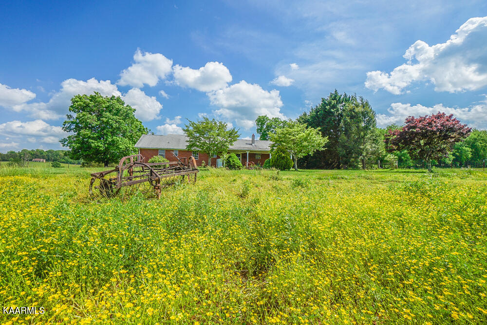 301 Alfred McCammon Road Maryville, TN 37804 - Photo 17 of 57 DSC09866