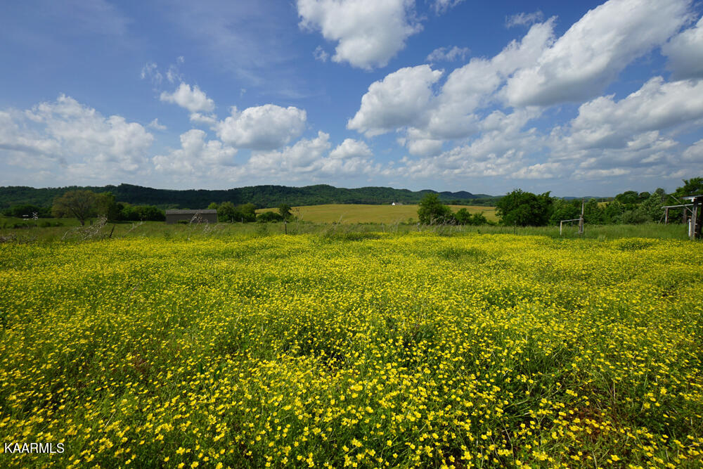 301 Alfred McCammon Road Maryville, TN 37804 - Photo 18 of 57 DSC09870