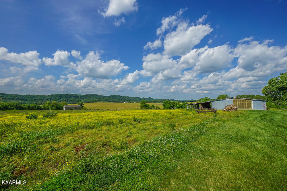 301 Alfred McCammon Road Maryville, TN 37804 - Photo 20 of 57 DSC09872