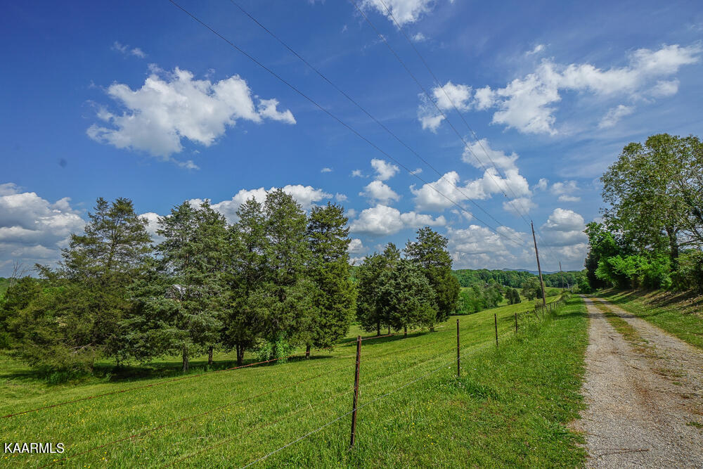 301 Alfred McCammon Road Maryville, TN 37804 - Photo 23 of 57 DSC09877
