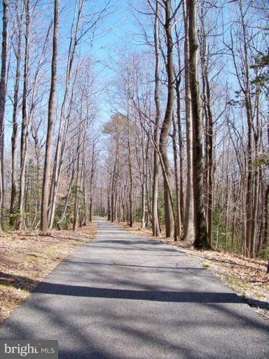 2213 Garrity Road St. Leonard, MD 20685 - Photo 8 of 26 The drive into the property