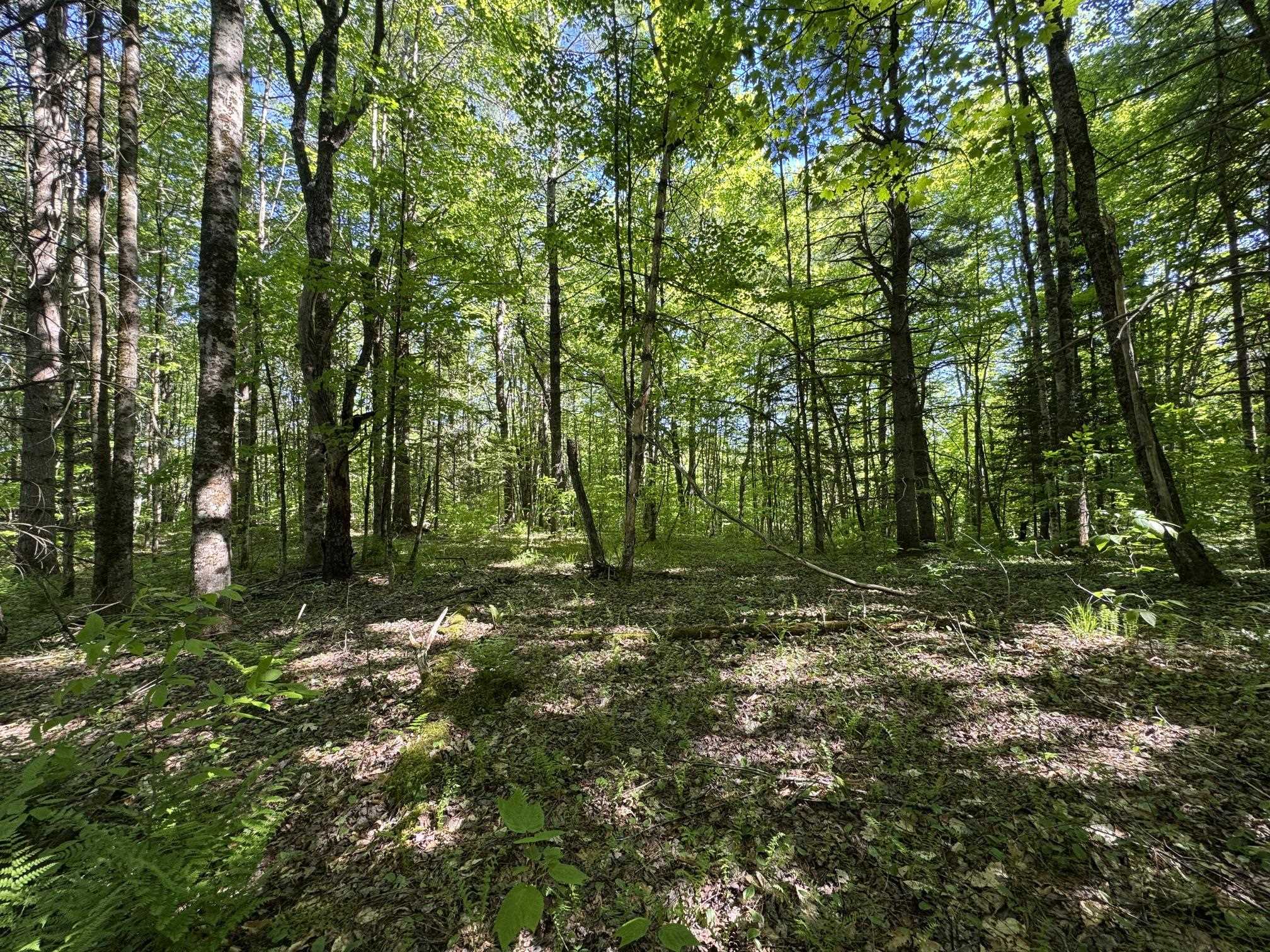 2800 Dugar Brook Road Calais, VT 05650 - Photo 6 of 12