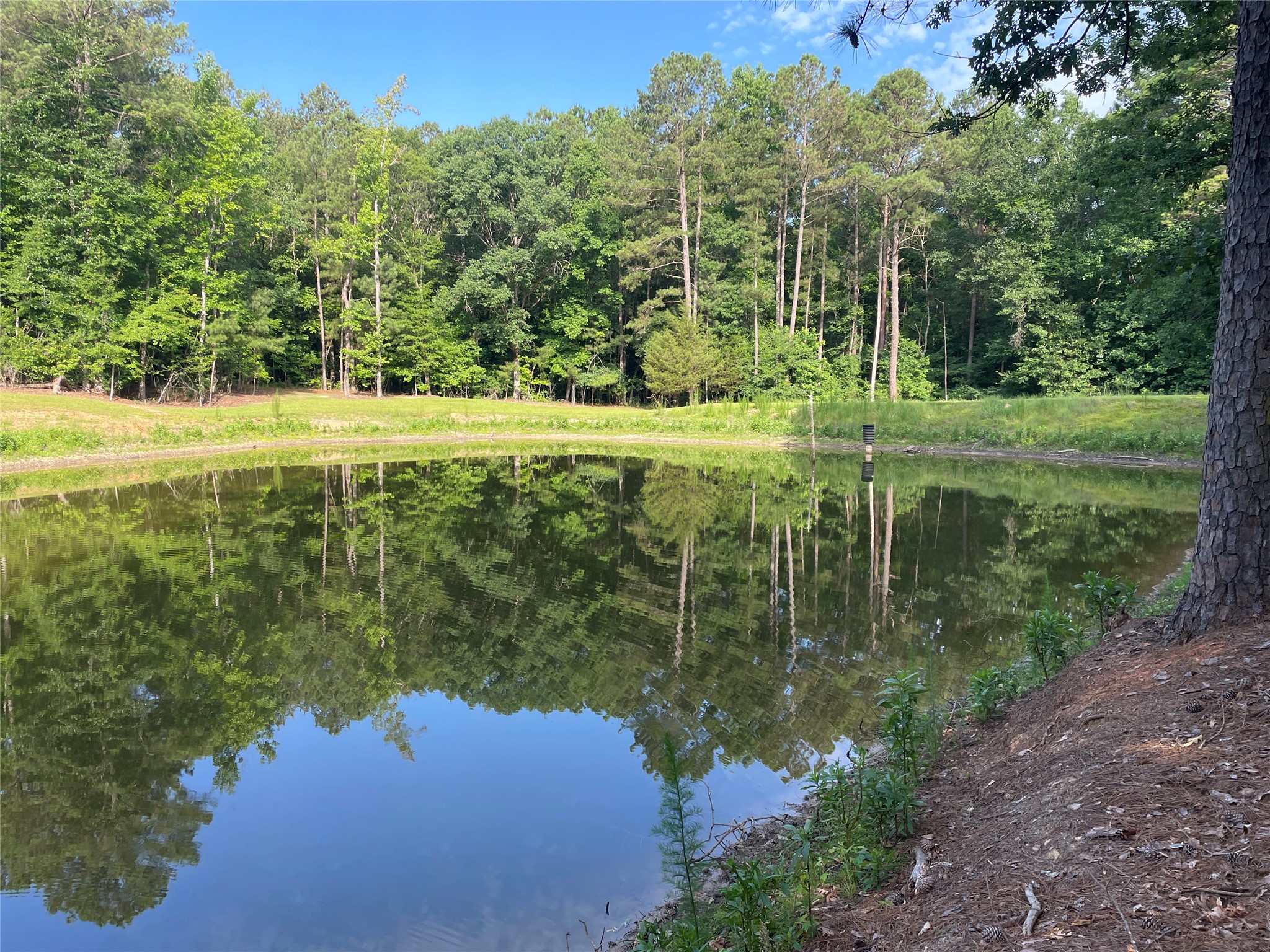 2983 Mallorysville Road Tignall, GA 30668 - Photo 37 of 47