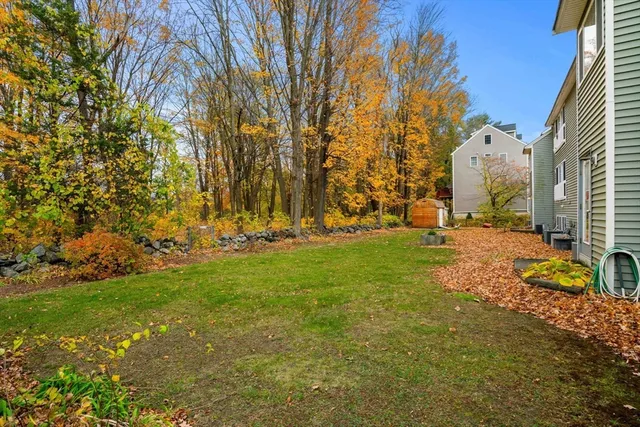 a view of field with tree in the background
