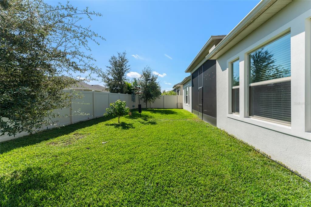 375 Dancing Water Drive Winter Springs, FL 32708 - Photo 48 of 73 a backyard of a house with plants and large tree
