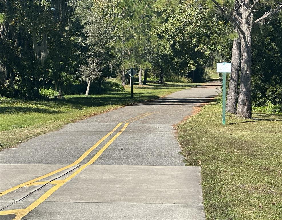 375 Dancing Water Drive Winter Springs, FL 32708 - Photo 57 of 73 a view of backyard with green space