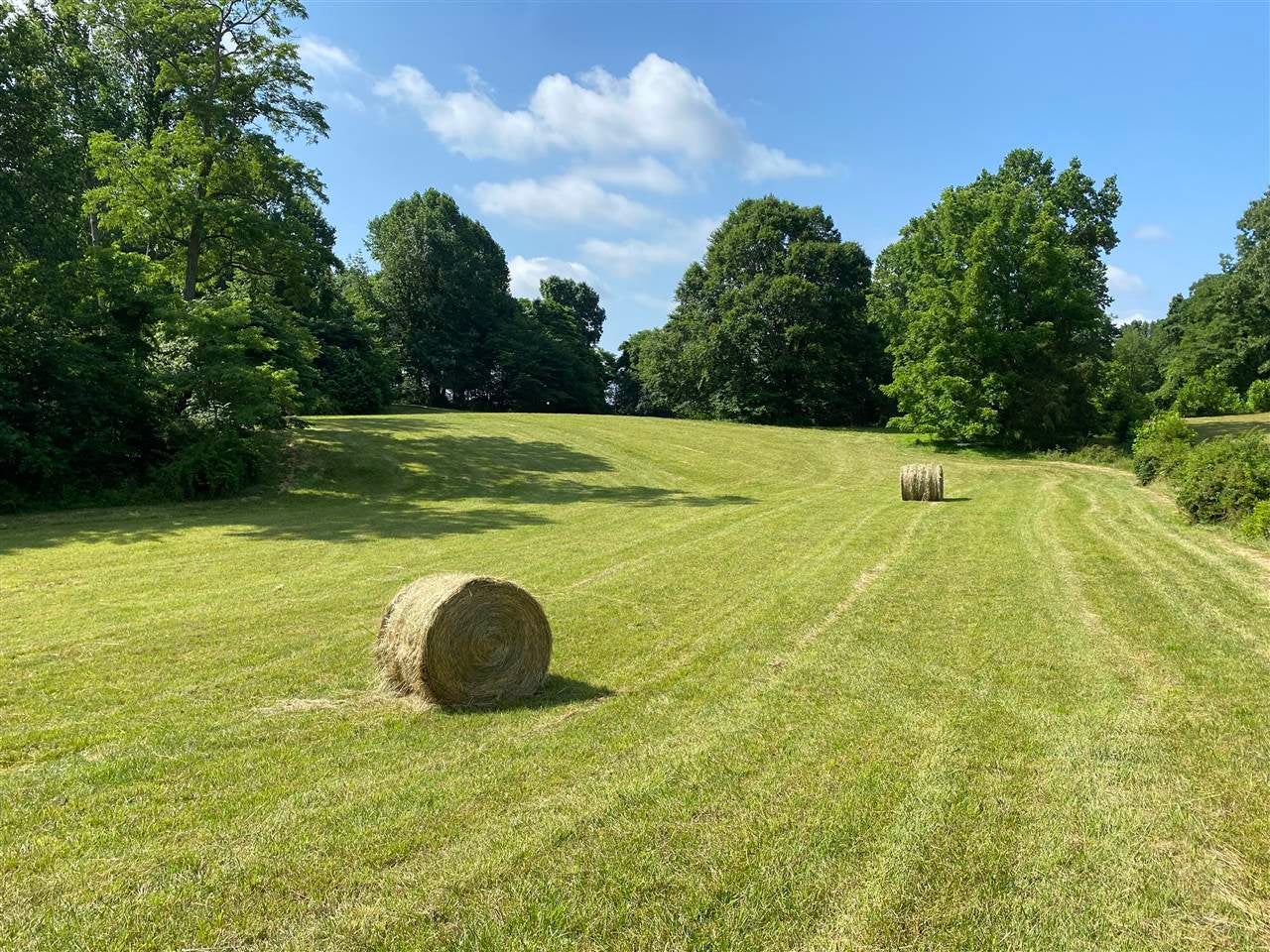 615 Phillip Whitlow Road Summer Shade, KY 42166 - Photo 1 of 1 Gallery Image 1