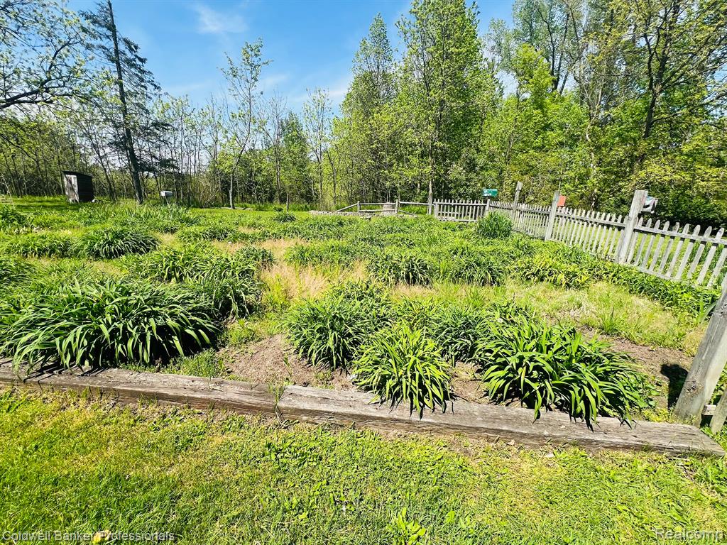 6125 Jefferson Road North Branch, MI 48461 - Photo 10 of 48